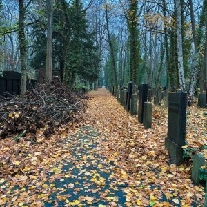 der-juedische-friedhof.jpg